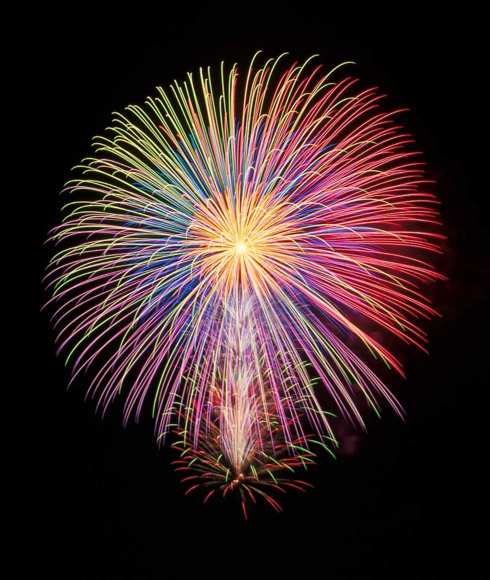 三重芯五色変色大ダリア