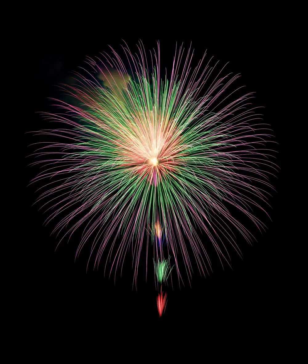 昇曲付三重芯幸福の華