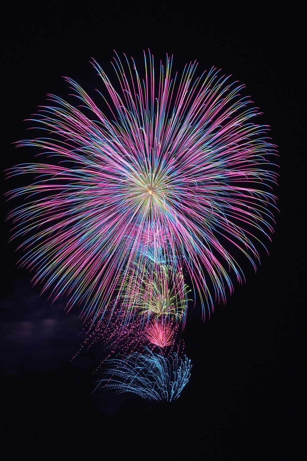 八重芯パステル変化牡丹