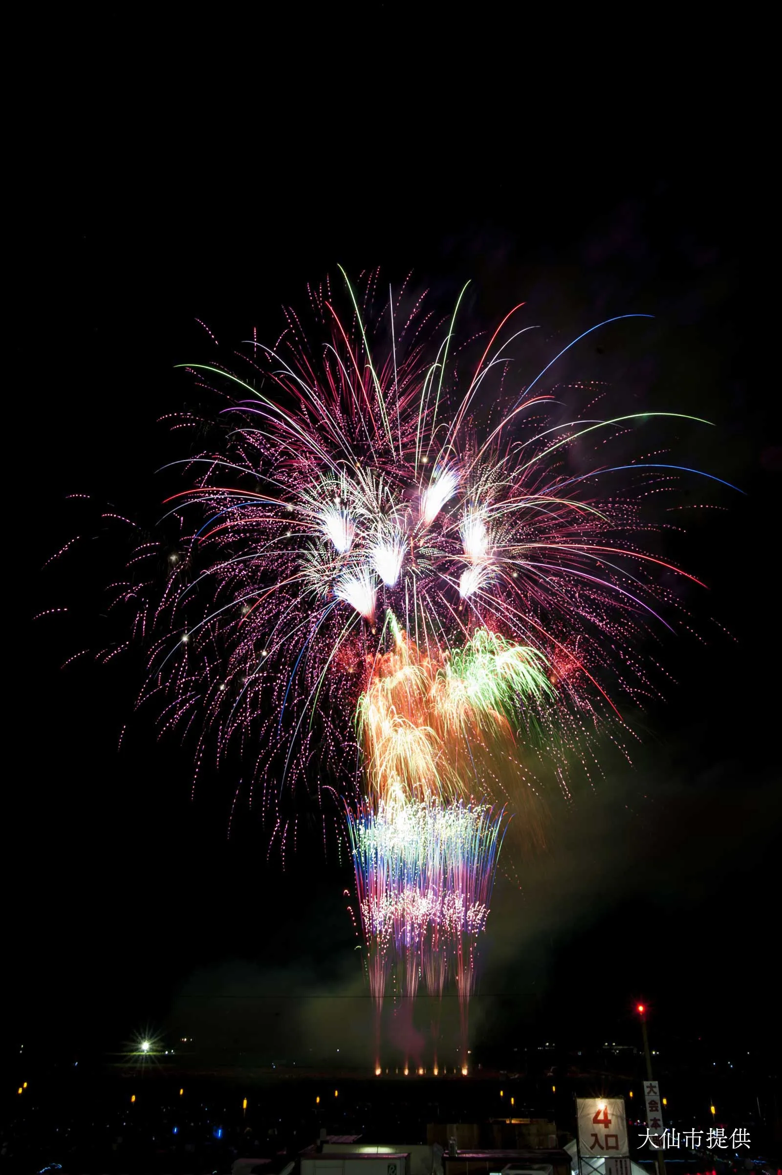 儚くも美しく舞う花