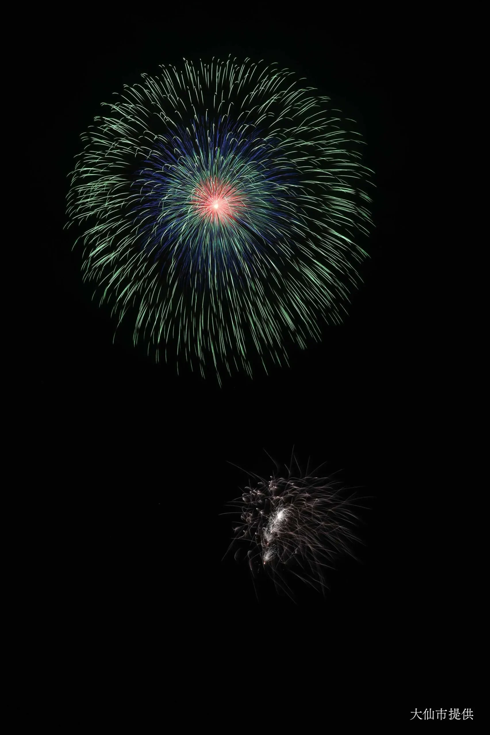 昇曲導付 四重芯変化菊