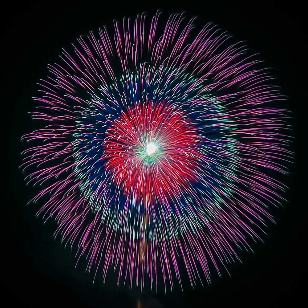 昇曲導付 五重芯変化菊