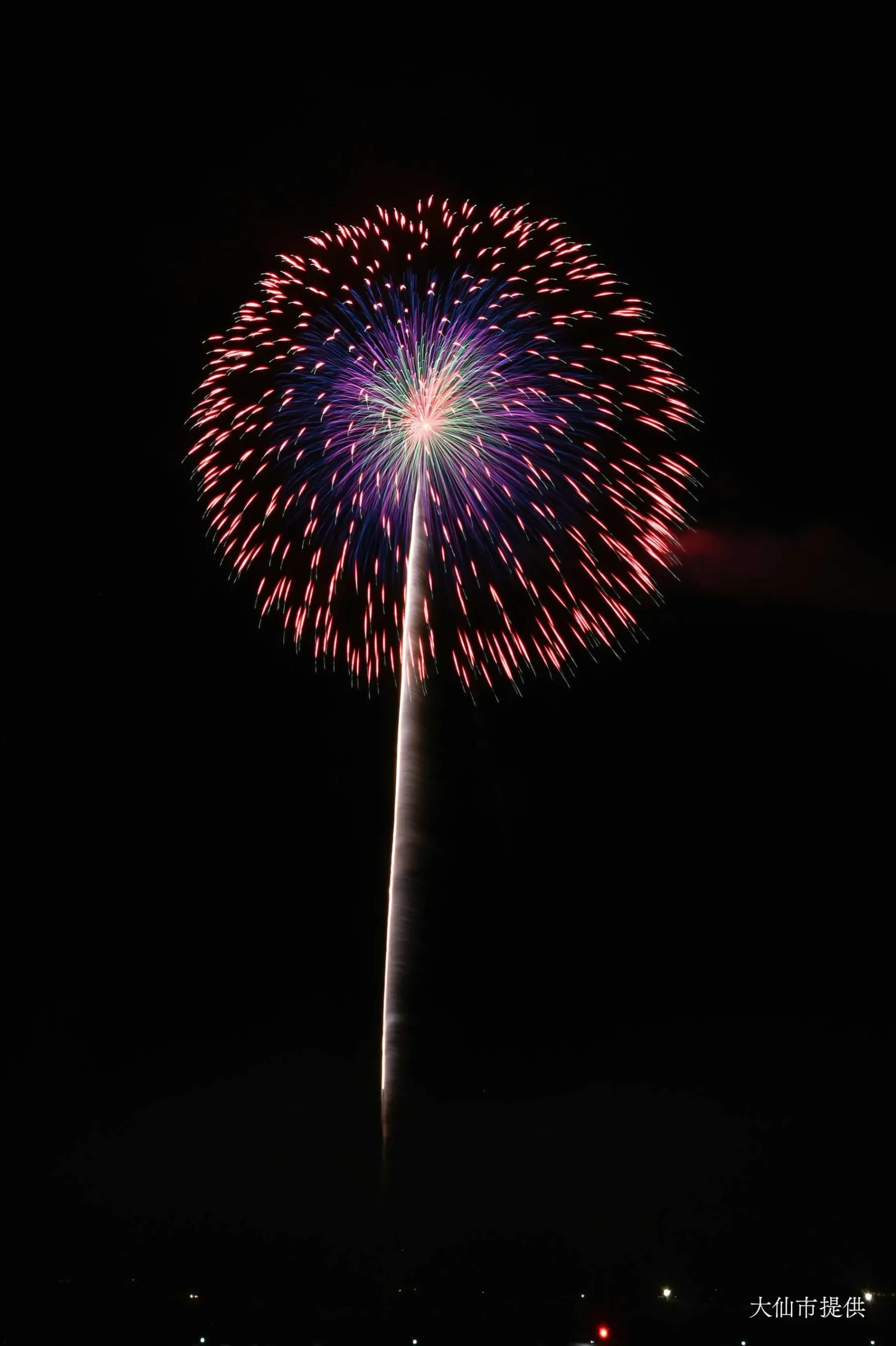 昇曲導付 四重芯菊先紅光露