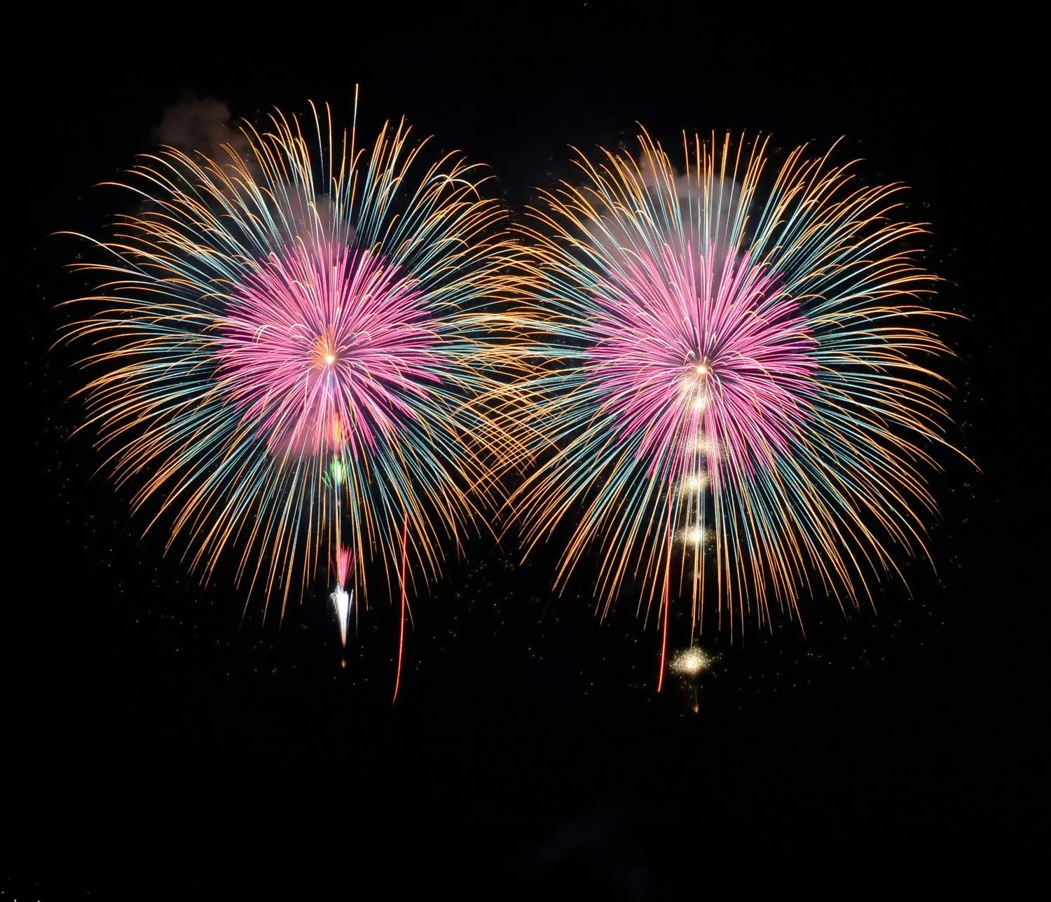 昇小花芯入パステルカラー散華