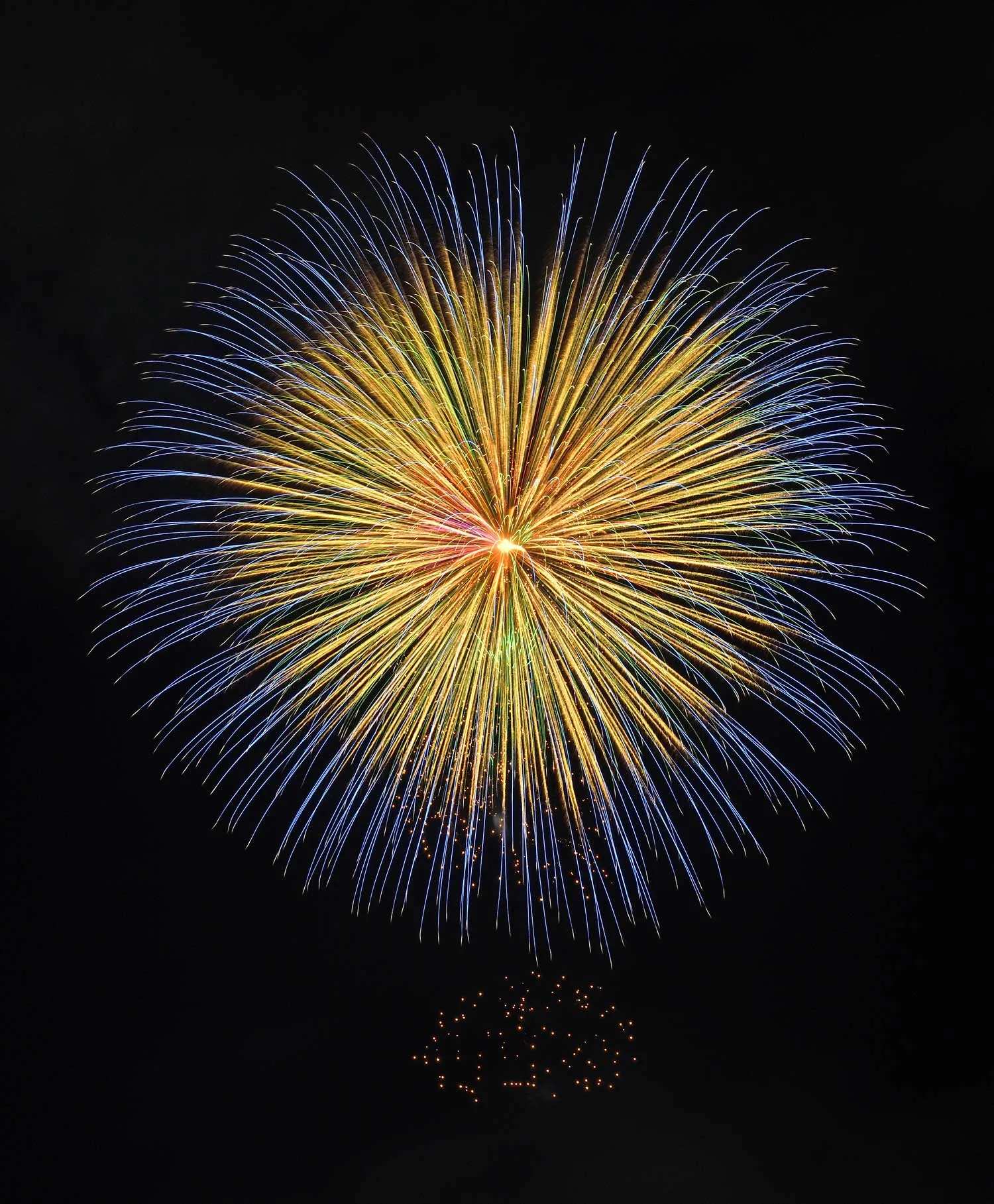 昇曲導付四重芯菊