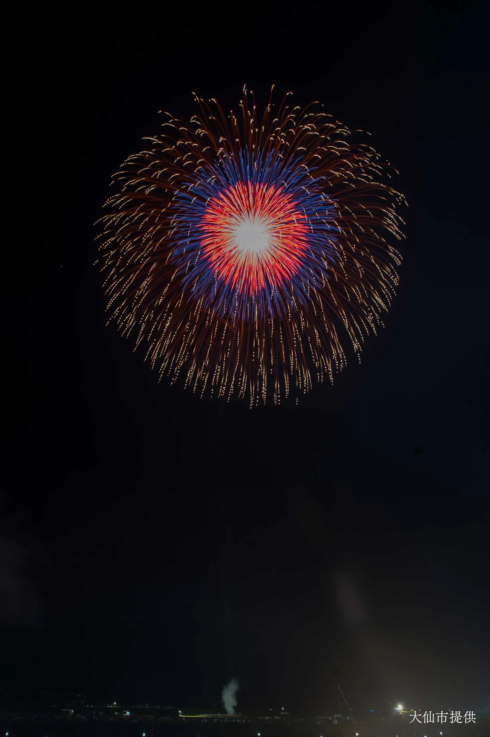 昇曲導付 四重芯変化菊